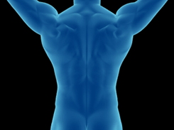 back