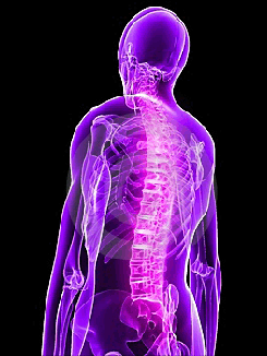 Spine, back, treatment